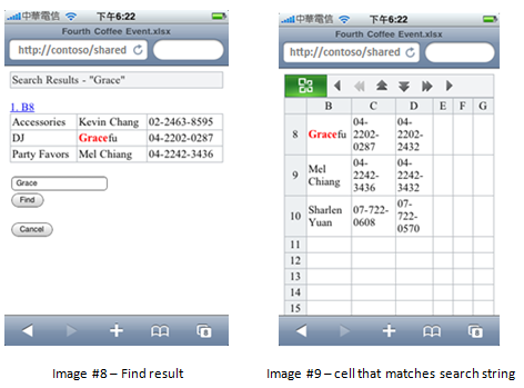 screenshots of find results and of a matching cell for a search string