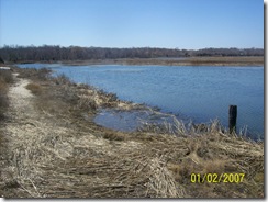 Flax Pond, looking south