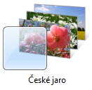 Ceské jaro